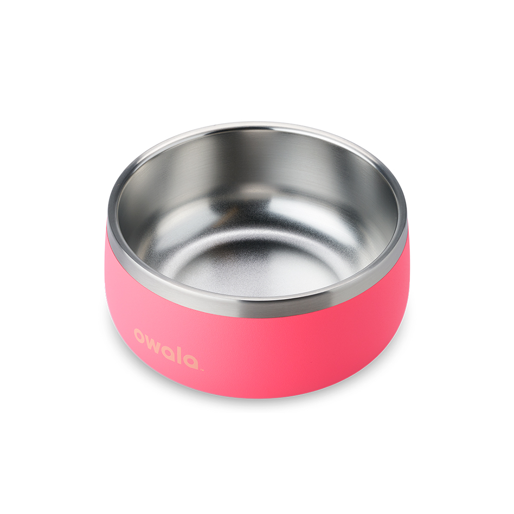 Hyper Flamingo Owala Pet Bowl Size 3 cups | SD58-F9ZL